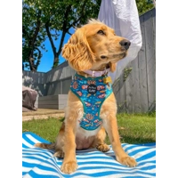 Under The Sea Dog Harness