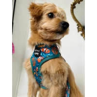 Under The Sea Dog Harness