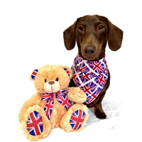 Union Jack Dog Bandana