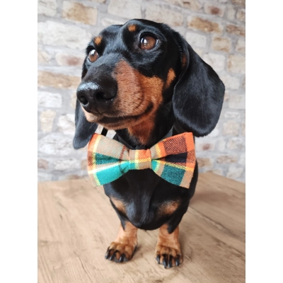 Squirrel Chaser Plaid Bow Tie Squirrel Chaser Plaid Bow Tie
