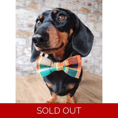 Squirrel Chaser Plaid Bow Tie