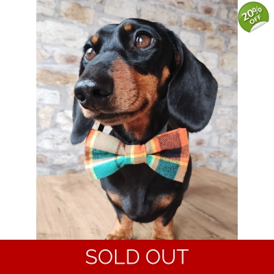 Squirrel Chaser Plaid Bow Tie