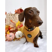 Mustard Yellow Cord Dog Harness