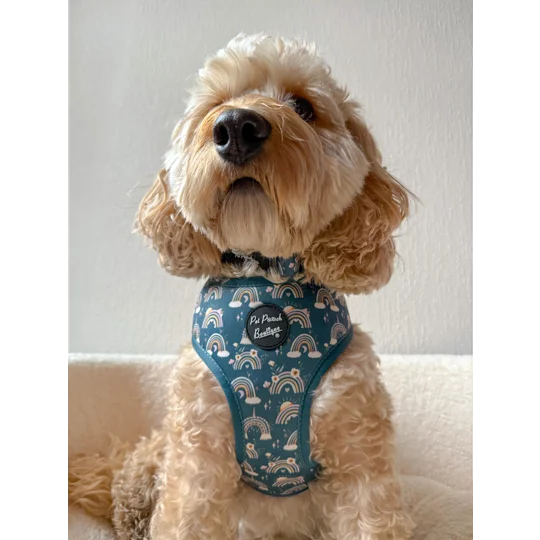 Rainbows In The Forest (Sea Green) Dog Harness