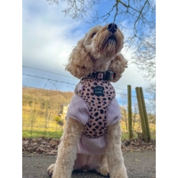 Polka Pup Noir Dog Collar