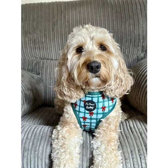 Festive Plaid Christmas Dog Harness