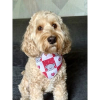Pink Love Bug Bear Dog Bandana