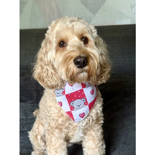 Pink Love Bug Bear Dog Bandana