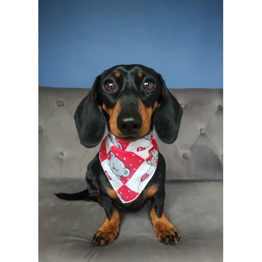 Pink Love Bug Bear Dog Bandana