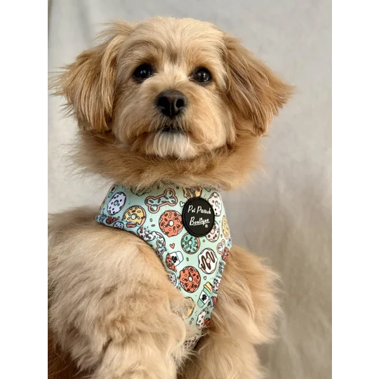 Iced Doughnuts & Coffee Dog Harness