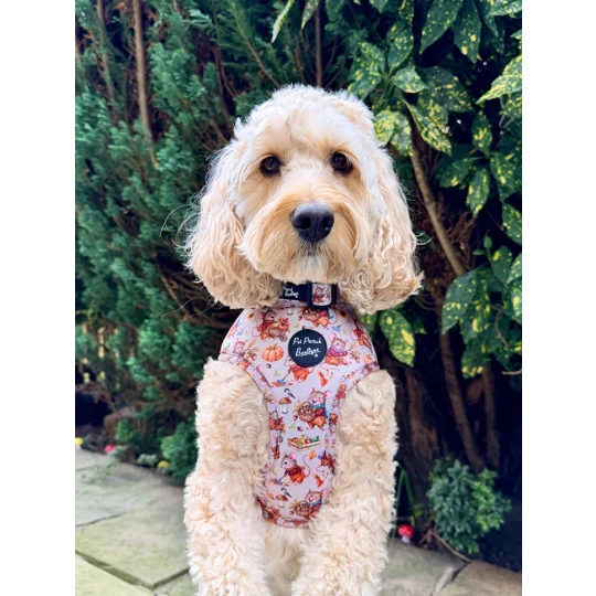 Harvest Mouse Dog Collar