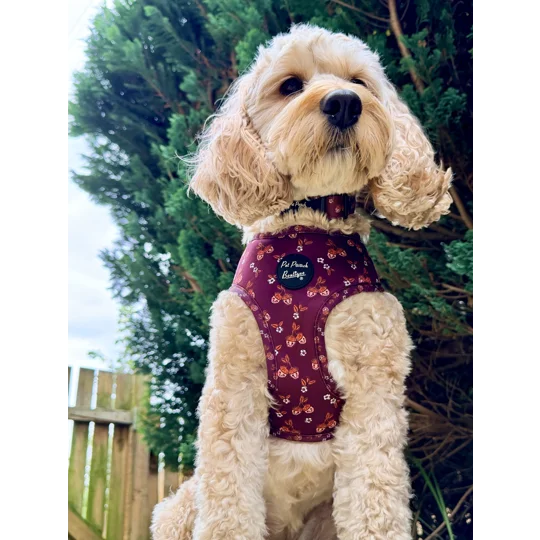 Happy Little Acorns Dog Harness