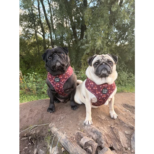 Happy Little Acorns Dog Harness