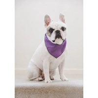 Purple Revival Polka Dot Dog Bandana