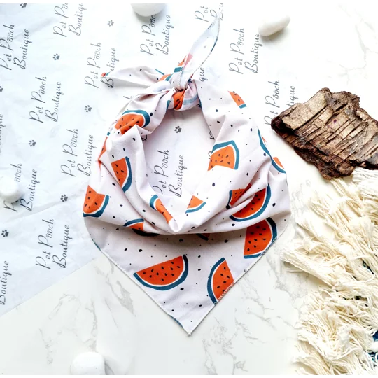 Watermelon Fruity Dog Bandana
