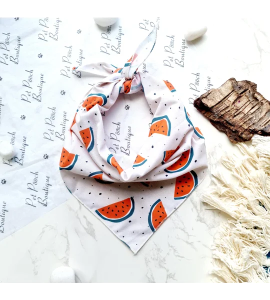 Watermelon Fruity Dog Bandana