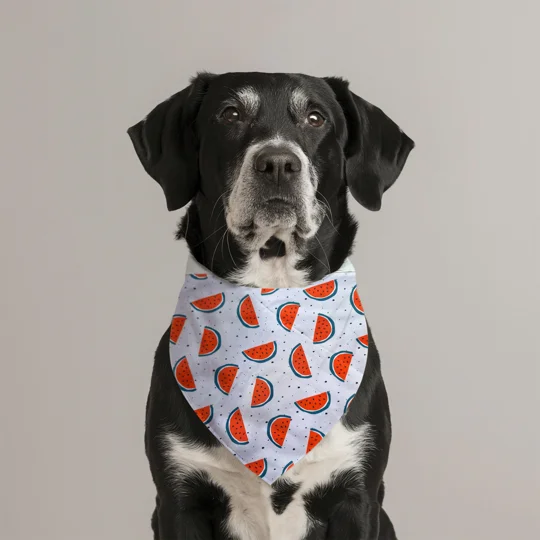 Watermelon Fruity Dog Bandana
