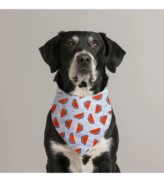 Watermelon Fruity Dog Bandana