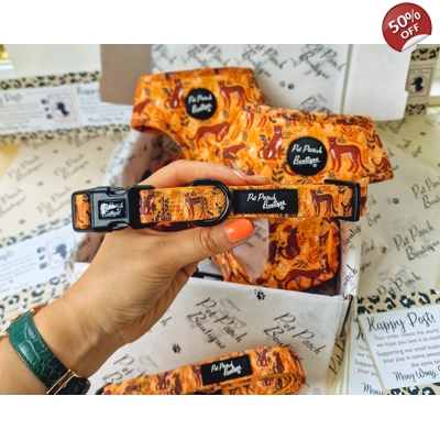 Wild Cheetah Dog Collar