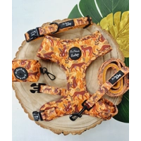 Wild Cheetah Dog Collar