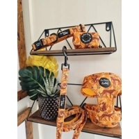 Wild Cheetah Dog Collar