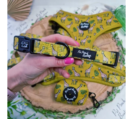 Wild Giraffe Dog Collar