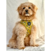 Wild Giraffe Dog Harness