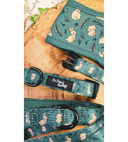 Wild Meadow Bunny Dog Collar