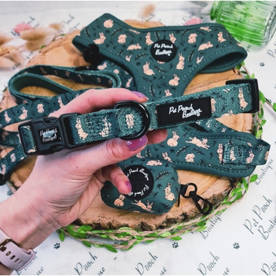 Wild Meadow Bunny Dog Collar