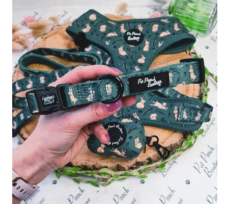 Wild Meadow Bunny Dog Collar