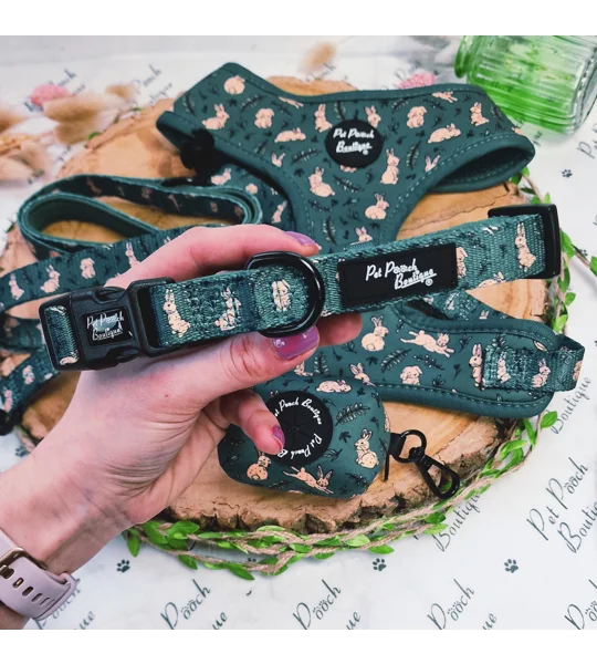 Wild Meadow Bunny Dog Collar