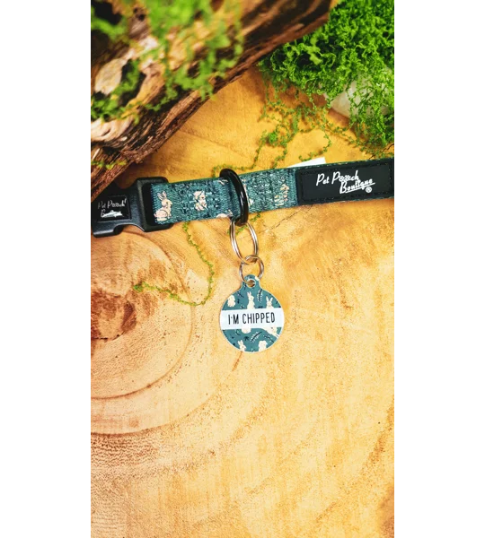 Wild Meadow Bunny Dog Collar