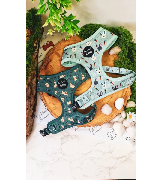 Wild Meadow Bunny Dog Collar