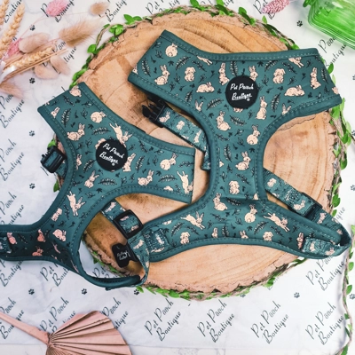 Wild Meadow Bunny Dog Harness