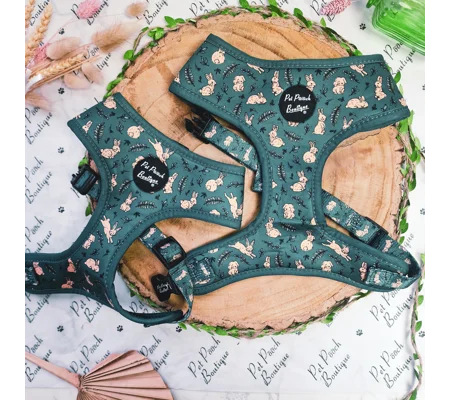 Wild Meadow Bunny Dog Harness