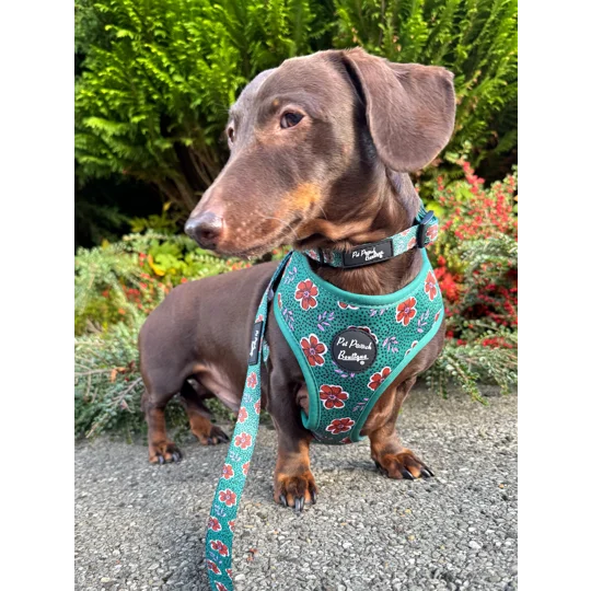 Wild Green Poppy Dog Collar