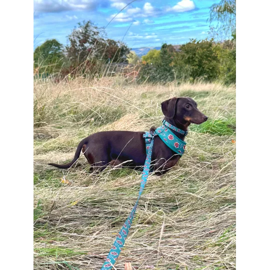 Wild Green Poppy Dog Collar