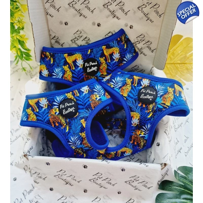 Wild Spirit Aqua Blue Leopard Dog Harness