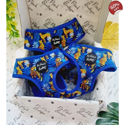 Wild Spirit Aqua Blue Leopard Dog Harness