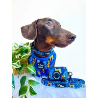 Wild Spirit Aqua Blue Leopard Dog Collar