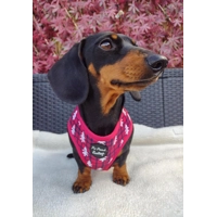 Winter Wonderland Dog Harness