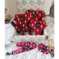 Winter Wonderland Dog Collar