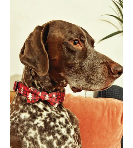 Winter Wonderland Plaid Christmas Dog Bow Tie
