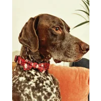 Winter Wonderland Dog Harness  - optional bow tie accessory