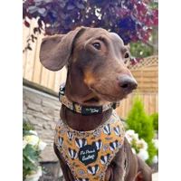 Woodland Badger Dog Bow Tie