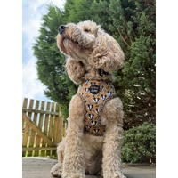 Woodland Badger Dog Collar