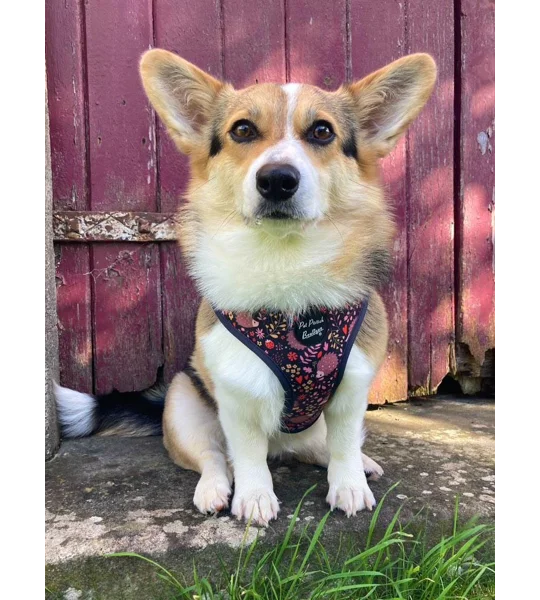 Woodland Hedgehog Dog Harness