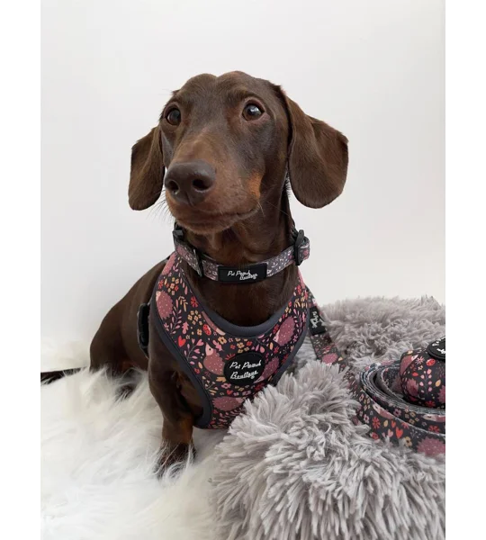 Woodland Hedgehog Dog Harness