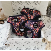 Woodland Hedgehog Dog Harness