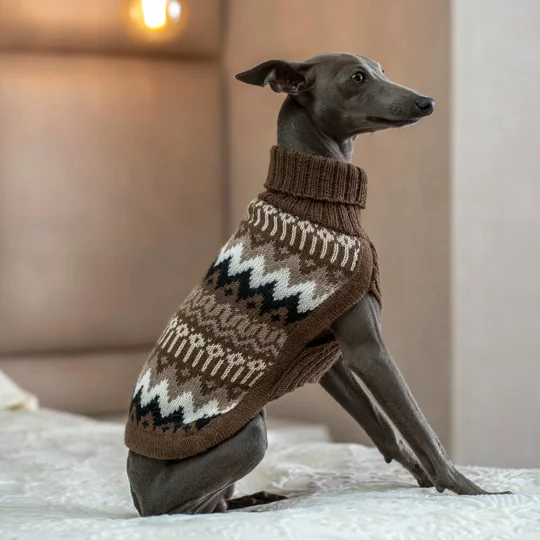Woolly Peaks Alpaca Wool Dog Jumper - Alqo Wasi